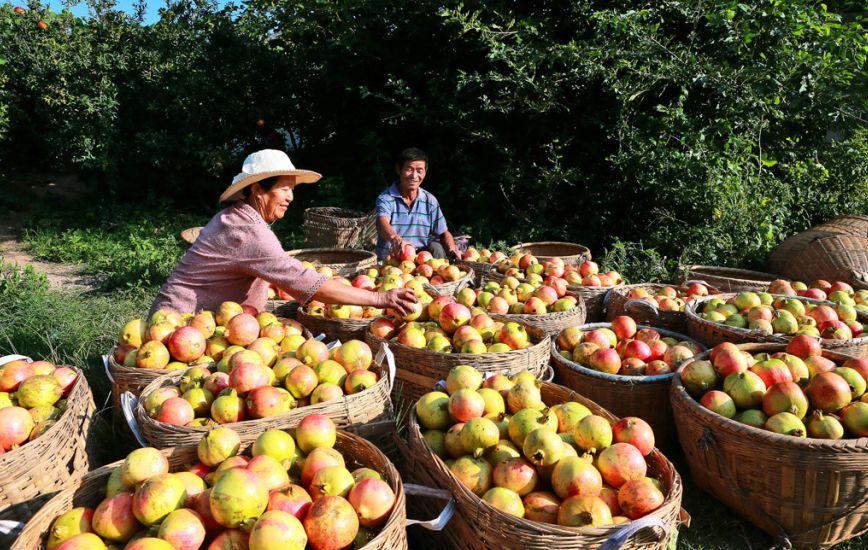 中国梦70周年绘画图片,70周年中国梦绘画作品图片