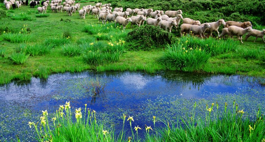 中国梦70周年绘画图片,70周年中国梦绘画作品图片