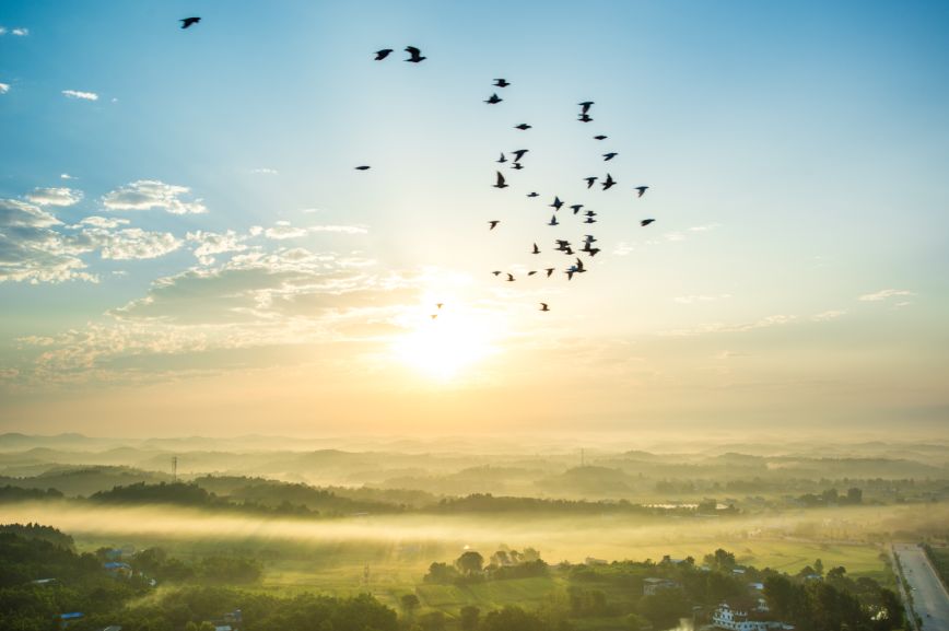 中国梦70周年绘画图片,70周年中国梦绘画作品图片