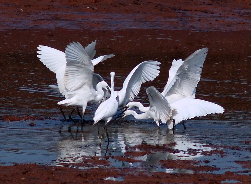 中国梦70周年绘画图片,70周年中国梦绘画作品图片