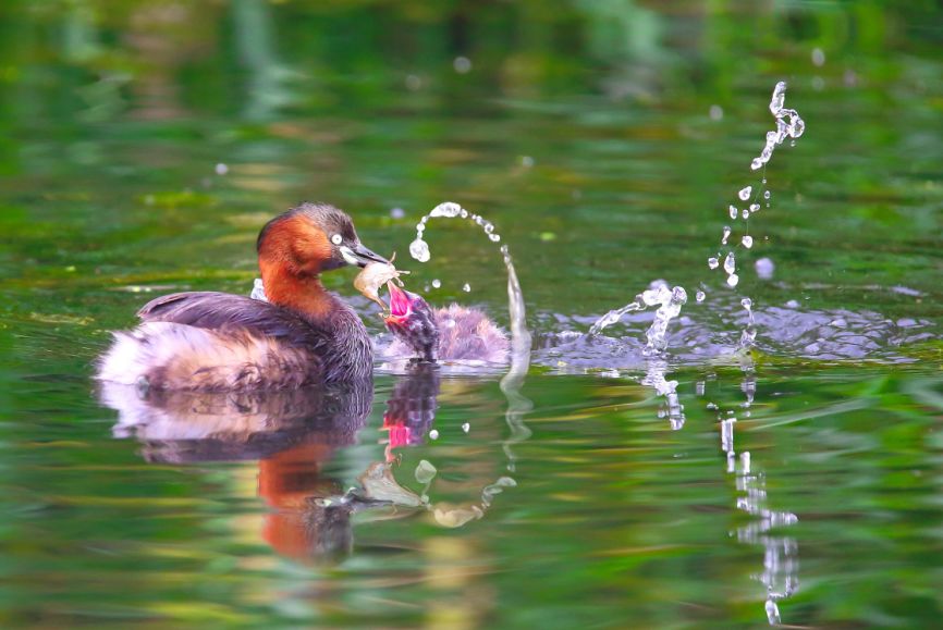 中国梦70周年绘画图片,70周年中国梦绘画作品图片