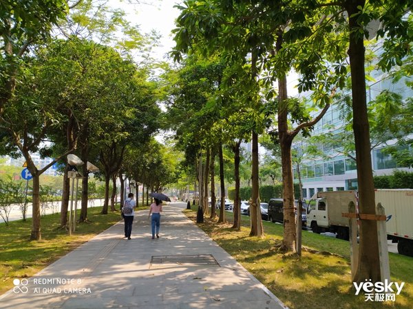 荣耀8x和play3哪个拍照好,荣耀play3和畅享10拍照