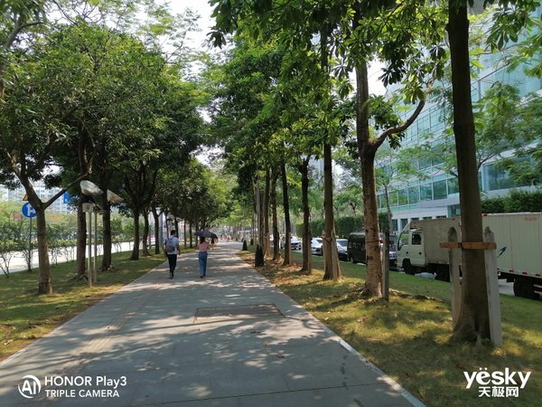 荣耀8x和play3哪个拍照好,荣耀play3和畅享10拍照