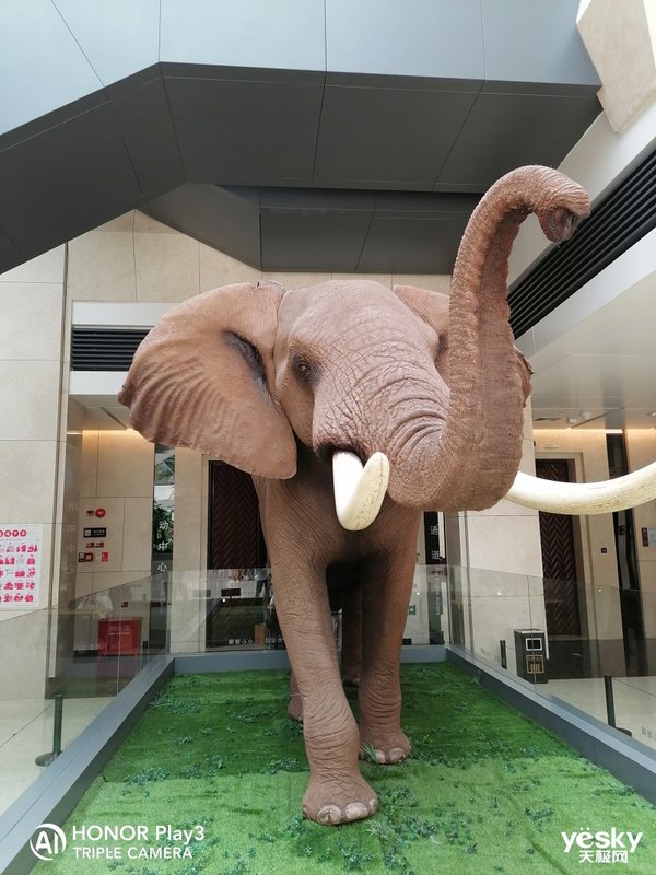 荣耀8x和play3哪个拍照好,荣耀play3和畅享10拍照