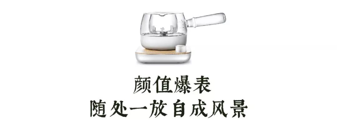 煮茶器适合煮的养生茶,懒人必备煮茶器