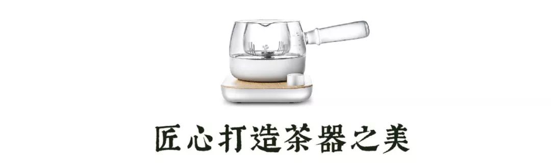 煮茶器适合煮的养生茶,懒人必备煮茶器