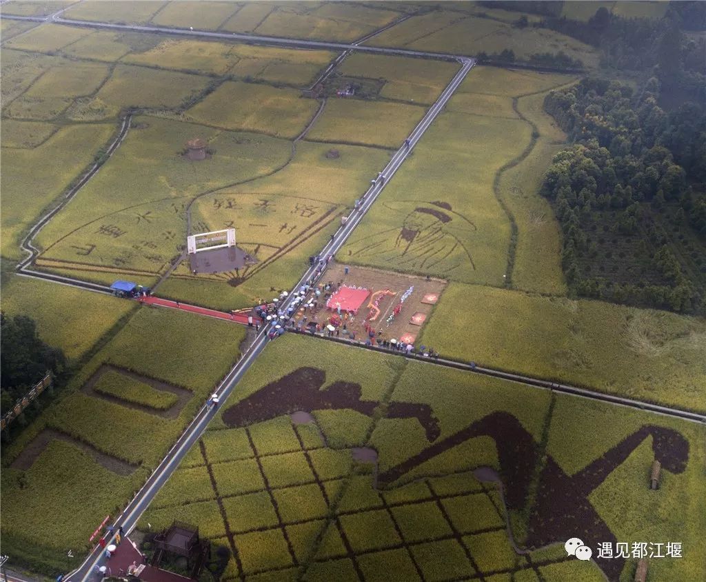 五星红旗同框感受,与五星红旗相遇