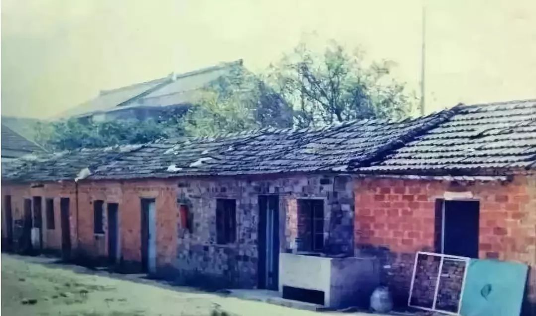 未上市的医药公司巨头,坚持不上市