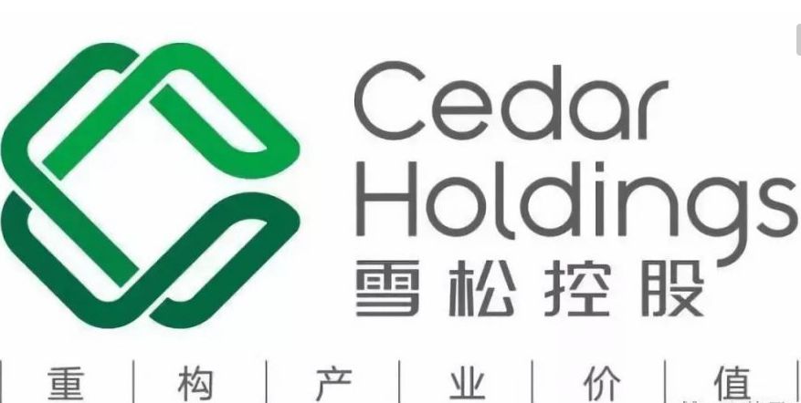 世界500强雪松控股,雪松控股集团是世界五百强吗