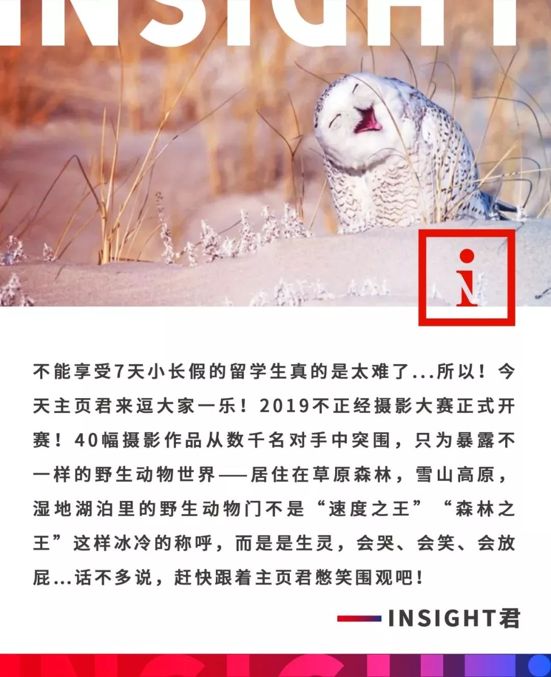 2019不正经摄影大赛引全网爆笑!40张动物黑历史被6万网友制成表情包....