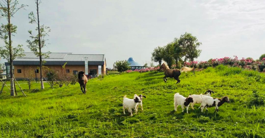 小微叫你来巡山！这座“山”用整个国庆都耍不完……