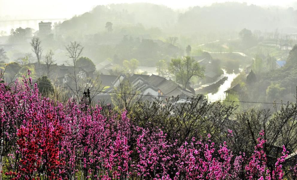 小微叫你来巡山！这座“山”用整个国庆都耍不完……
