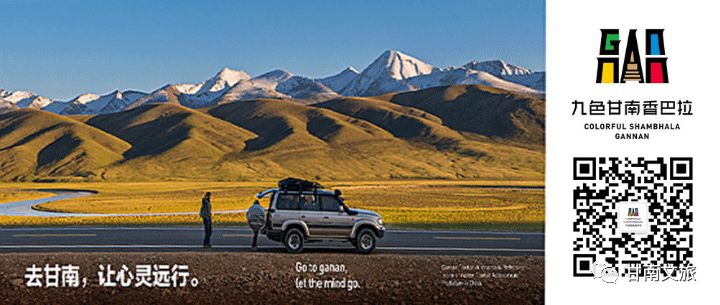 高凯在临潭的地位,在临潭撸起袖子拔河