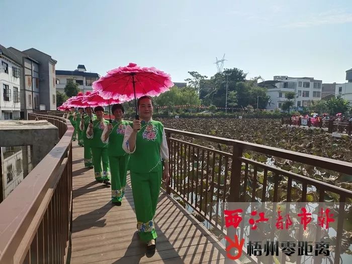 梧州国庆节游玩,梧州国庆游