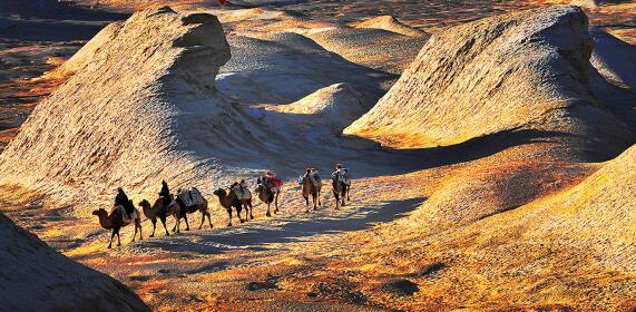 柴达木精神内容是什么,柴达木精神