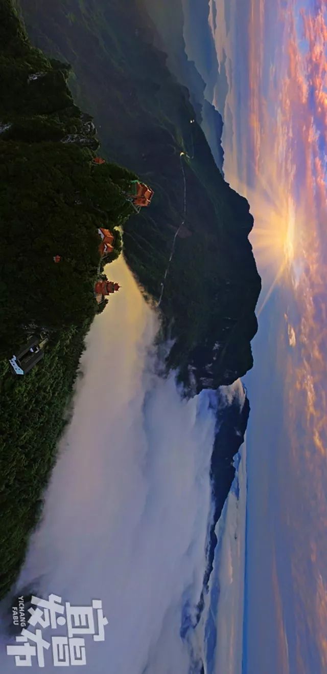 盛夏!好多宜昌人都在拍她