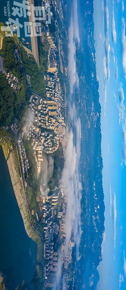 盛夏!好多宜昌人都在拍她