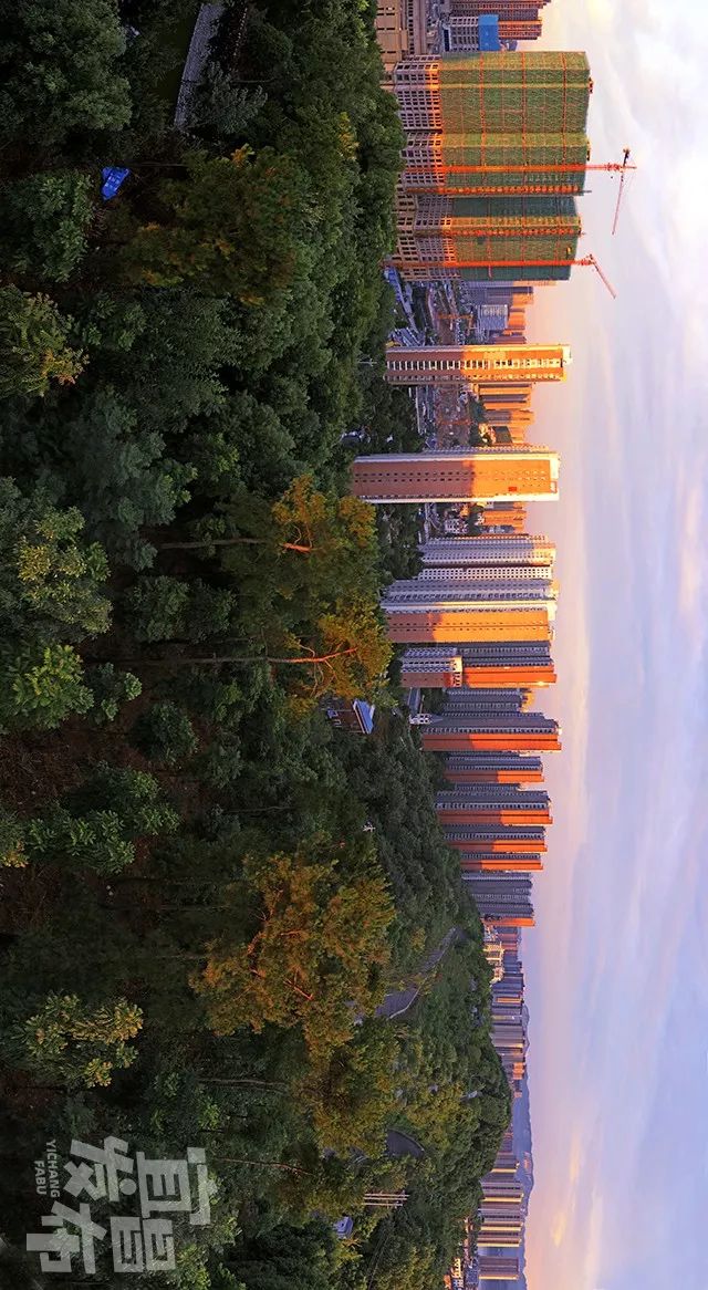 盛夏!好多宜昌人都在拍她