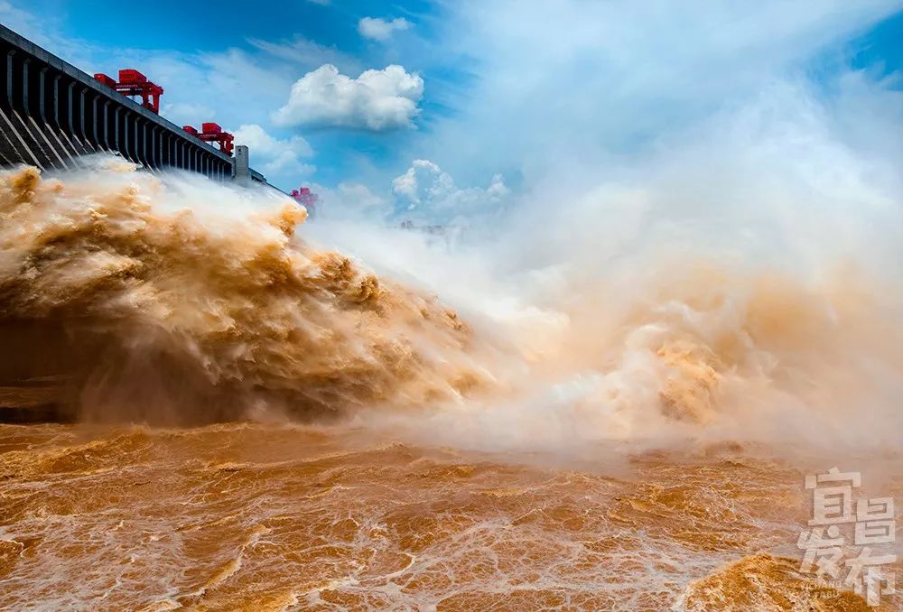盛夏!好多宜昌人都在拍她