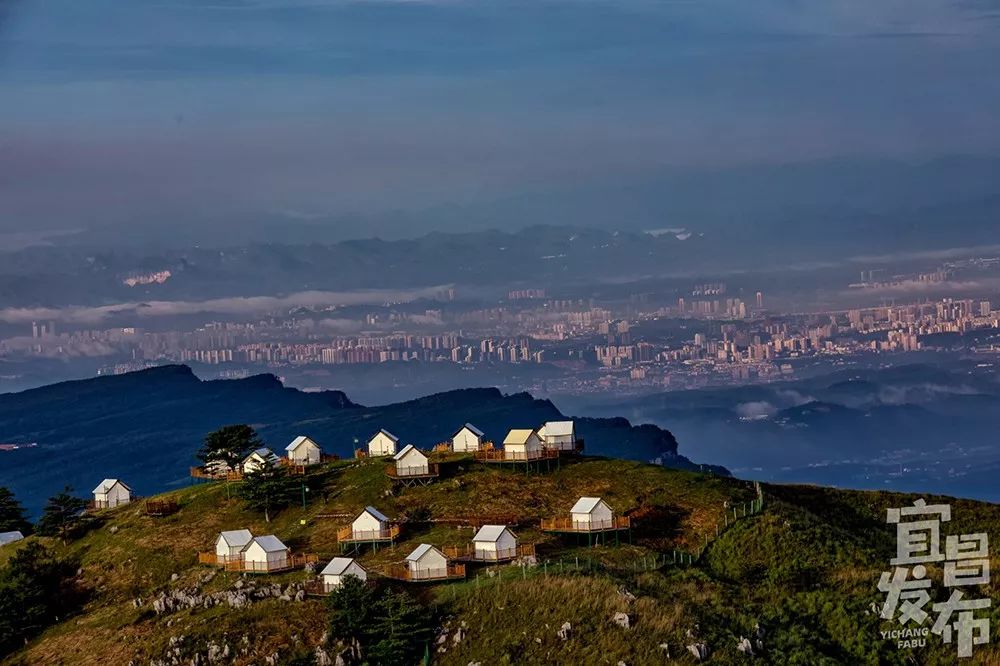 盛夏!好多宜昌人都在拍她