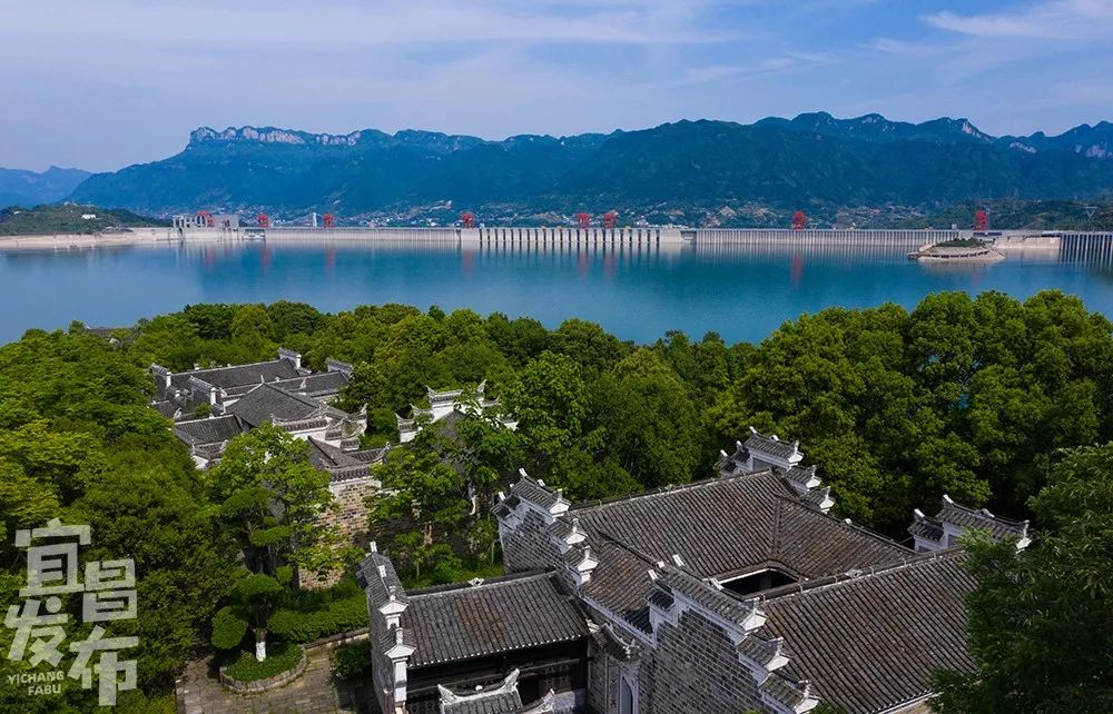 盛夏!好多宜昌人都在拍她