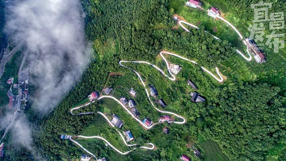 盛夏!好多宜昌人都在拍她