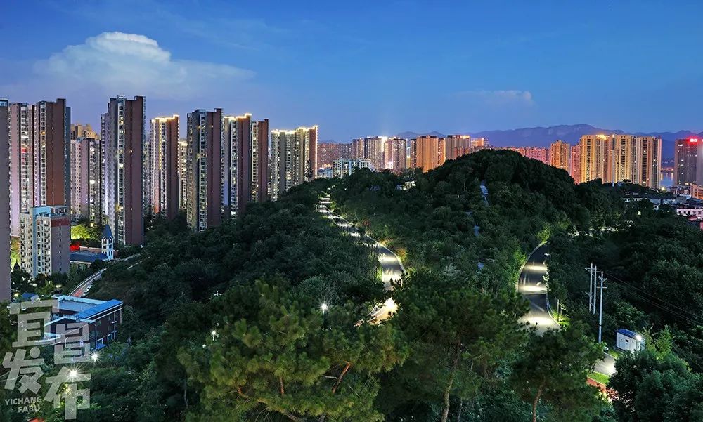 盛夏!好多宜昌人都在拍她