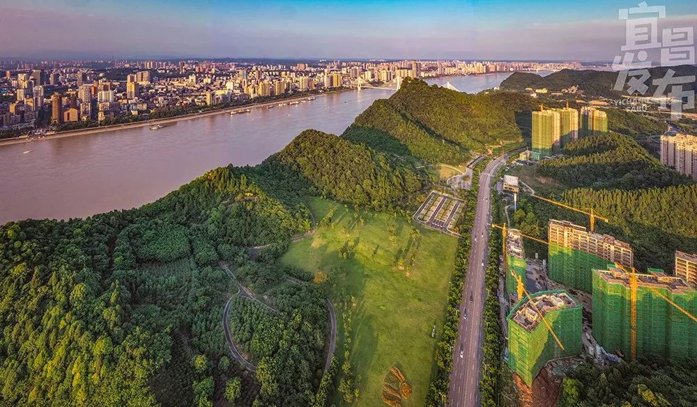 盛夏!好多宜昌人都在拍她