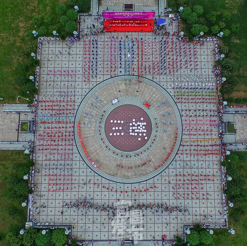 盛夏!好多宜昌人都在拍她