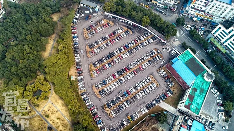 盛夏!好多宜昌人都在拍她