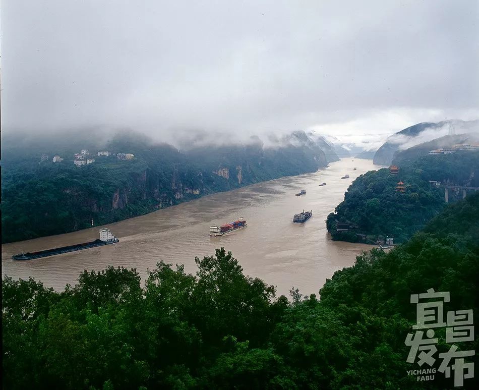 盛夏!好多宜昌人都在拍她