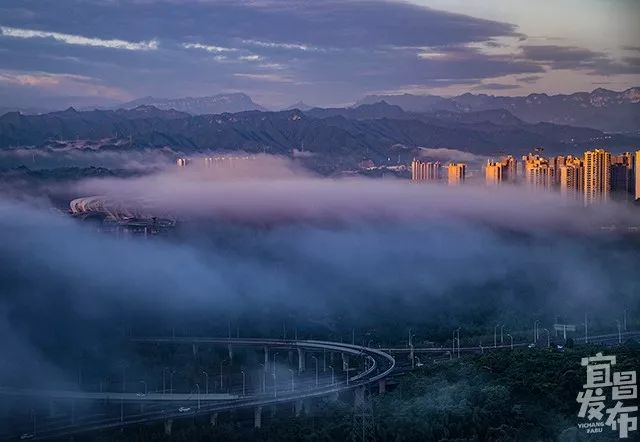 盛夏!好多宜昌人都在拍她