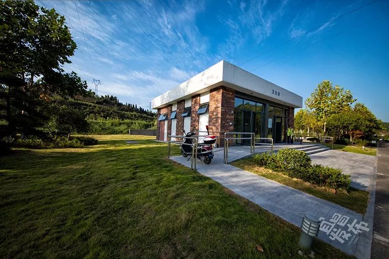 盛夏!好多宜昌人都在拍她