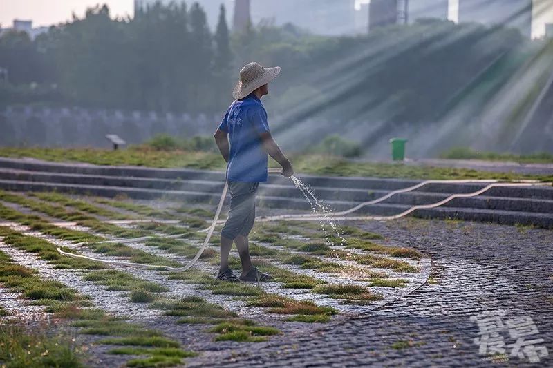 盛夏!好多宜昌人都在拍她