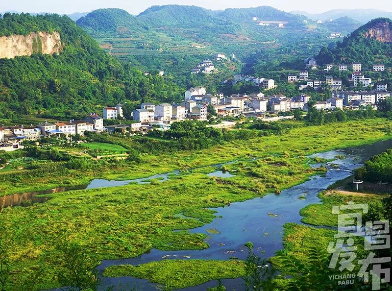 盛夏!好多宜昌人都在拍她