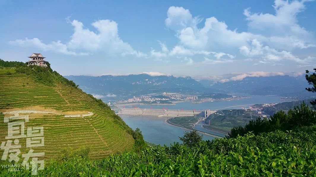 盛夏!好多宜昌人都在拍她