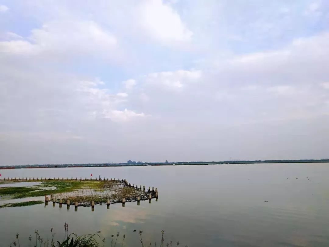 阳澄湖大闸蟹死了怎么保存,阳澄湖大闸蟹调查员带你了解真相