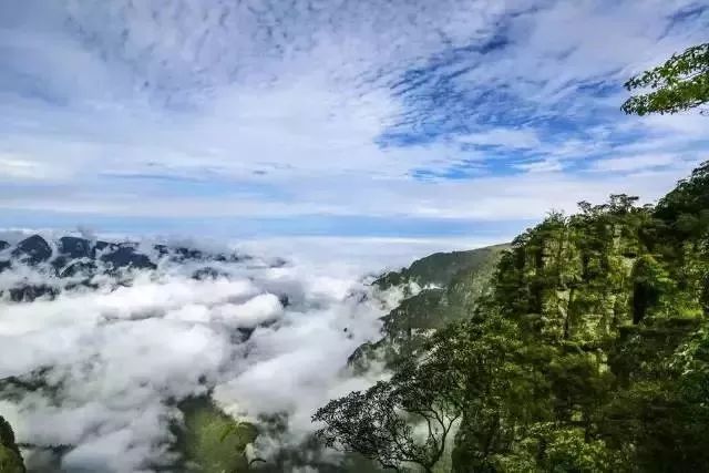 柳州周边游景点推荐白沙露营基地,柳州周边露营野餐地点推荐