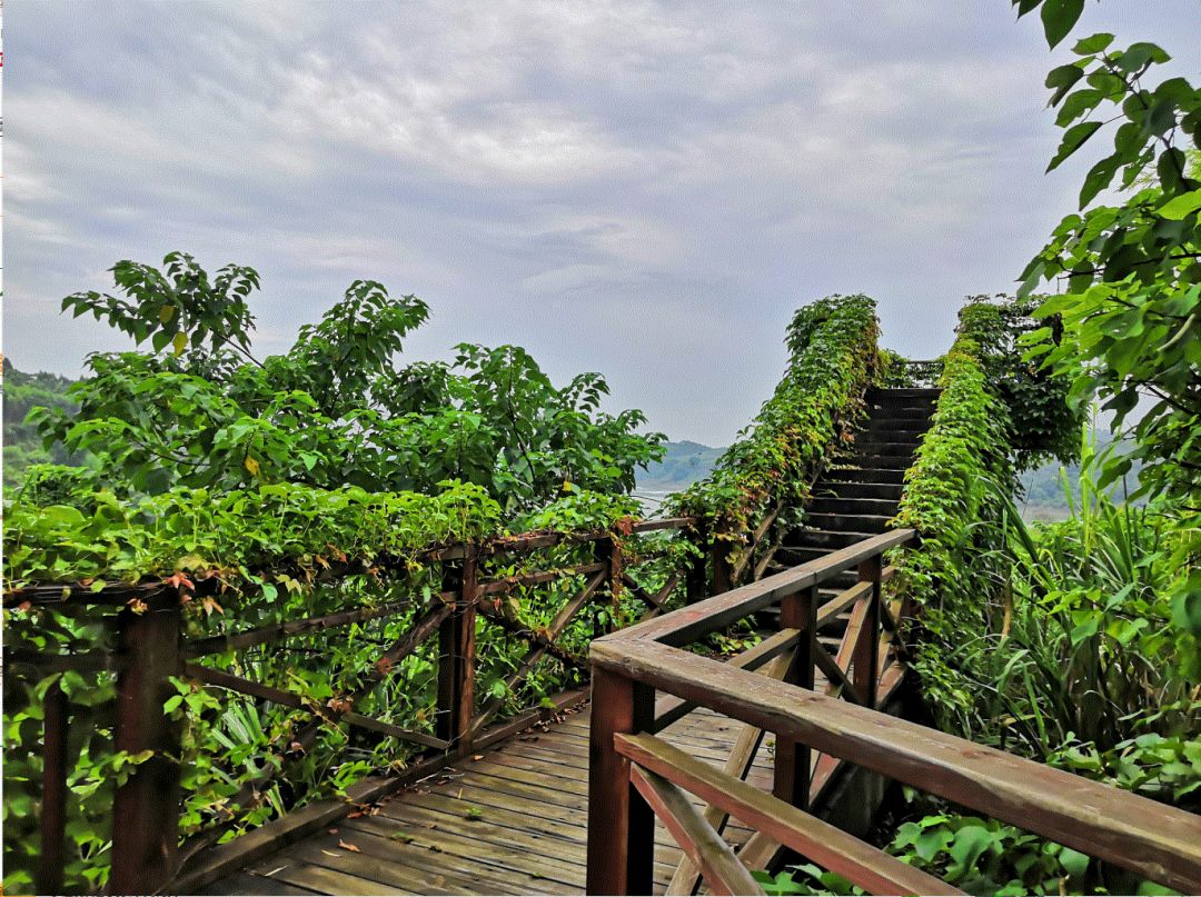 柳州周边游景点推荐白沙露营基地,柳州周边露营野餐地点推荐