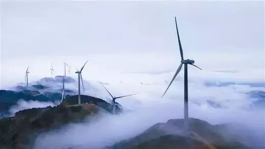 柳州周边游景点推荐白沙露营基地,柳州周边露营野餐地点推荐