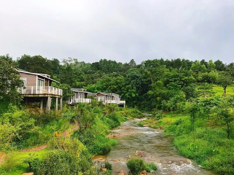 柳州周边游景点推荐白沙露营基地,柳州周边露营野餐地点推荐