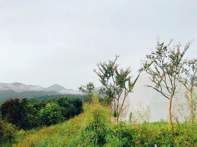 柳州周边游景点推荐白沙露营基地,柳州周边露营野餐地点推荐