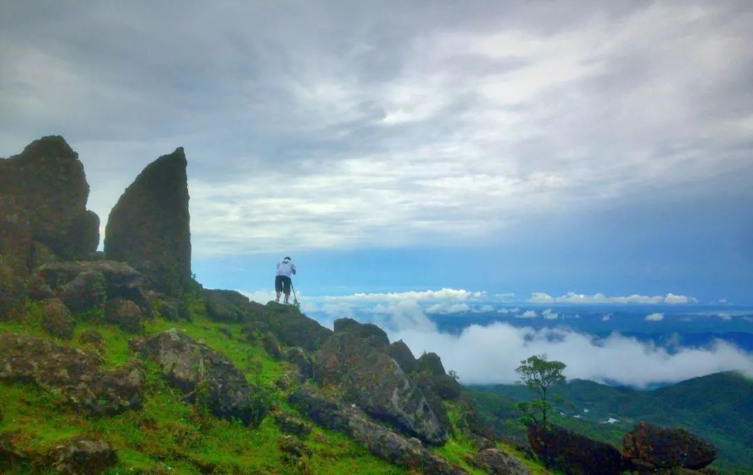 柳州周边游景点推荐白沙露营基地,柳州周边露营野餐地点推荐