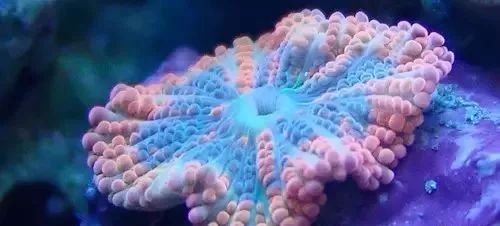 海缸旅游攻略大全,海边怎么玩海缸