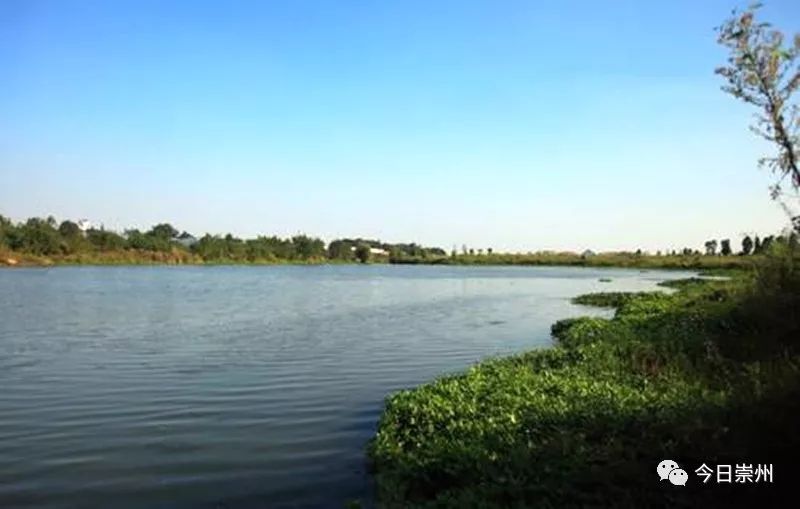 谁不说俺家乡好赛马简谱二胡谱,谁不说俺家乡好在希望的田野上