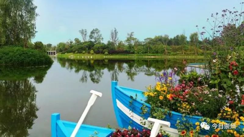 谁不说俺家乡好赛马简谱二胡谱,谁不说俺家乡好在希望的田野上