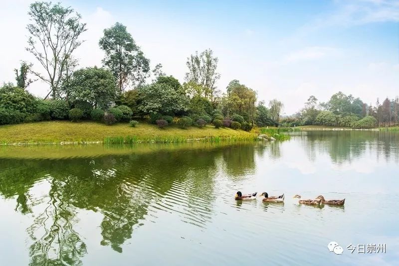 谁不说俺家乡好赛马简谱二胡谱,谁不说俺家乡好在希望的田野上