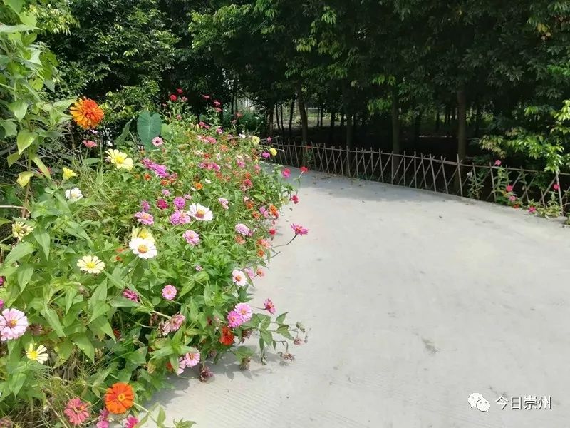 谁不说俺家乡好赛马简谱二胡谱,谁不说俺家乡好在希望的田野上