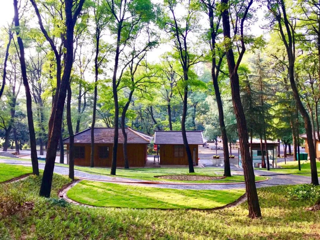 国庆假期好去处！艾山景区推出了旅游大餐！绝对不止是风景美……