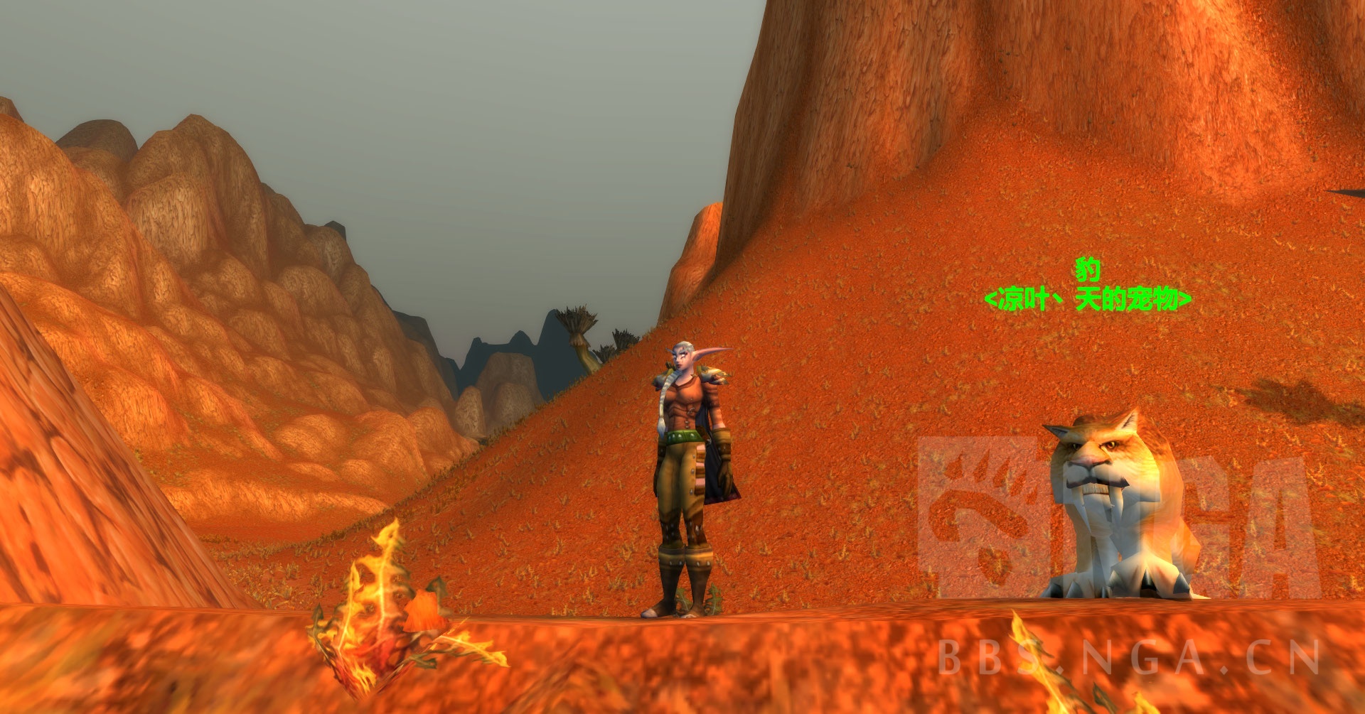 怀旧服60猎人练级用什么天赋,猎人练级天赋和技能顺序